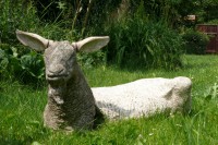 /album/a2007-08-kozy-zula-diorit/koza-zula-8-jpg/